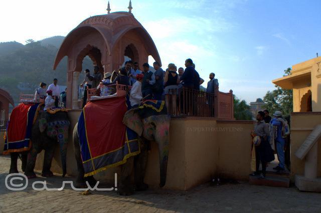 Hotel O Apple Jaipur Bagian luar foto